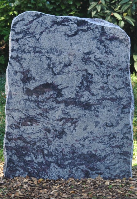  Amadeus poli