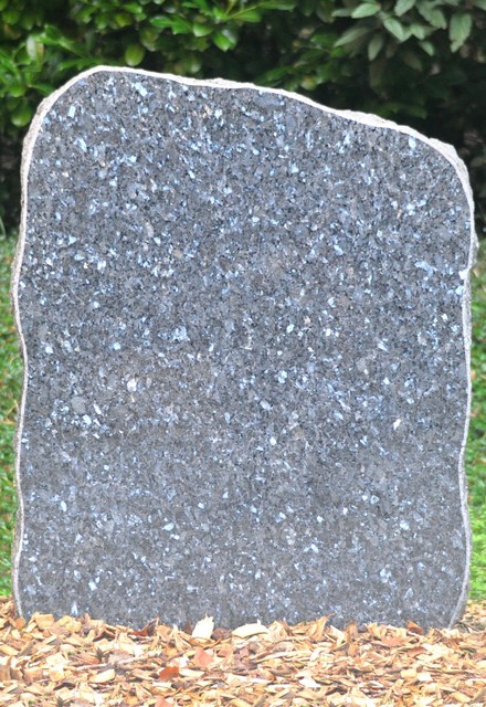 Labrador Blue poli