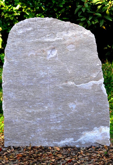 Palisander